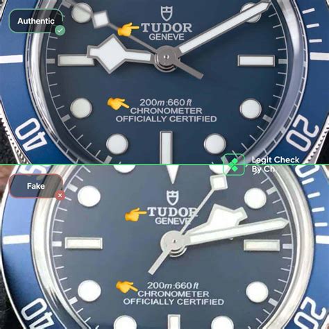 tudor fake dell'addormentato